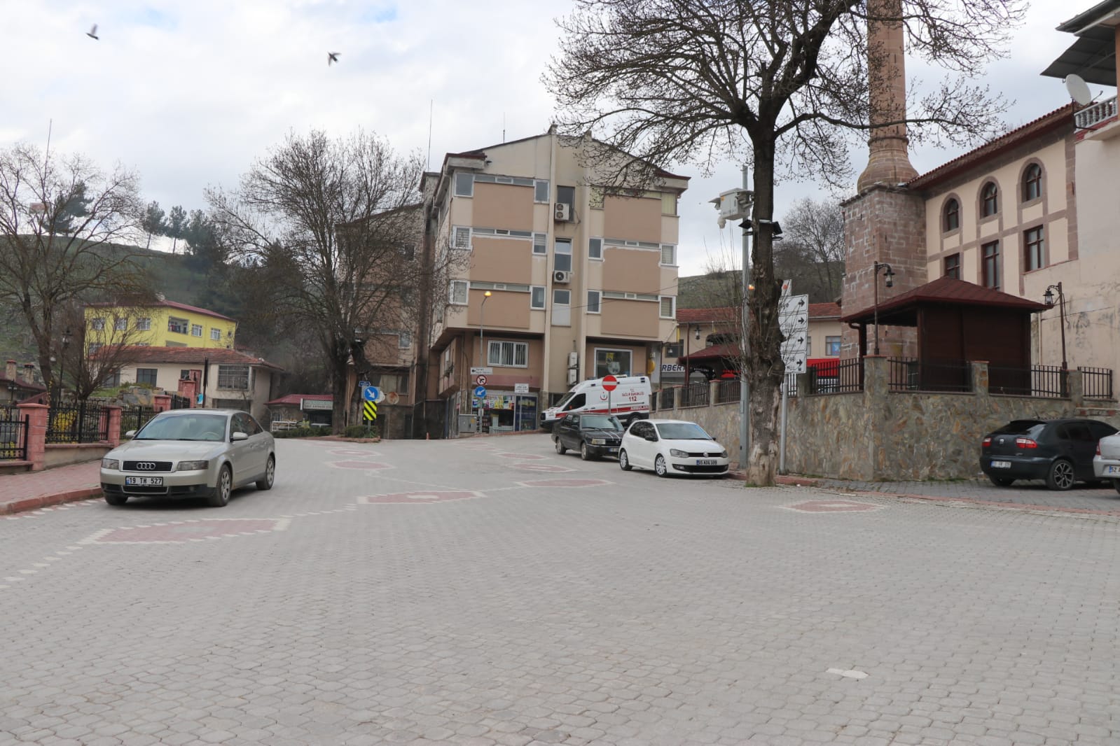 KAVAK’TA SESSİZ YAŞAM